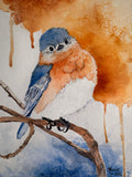Bluebird