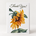 Sunflower Thank you notecards set of 10