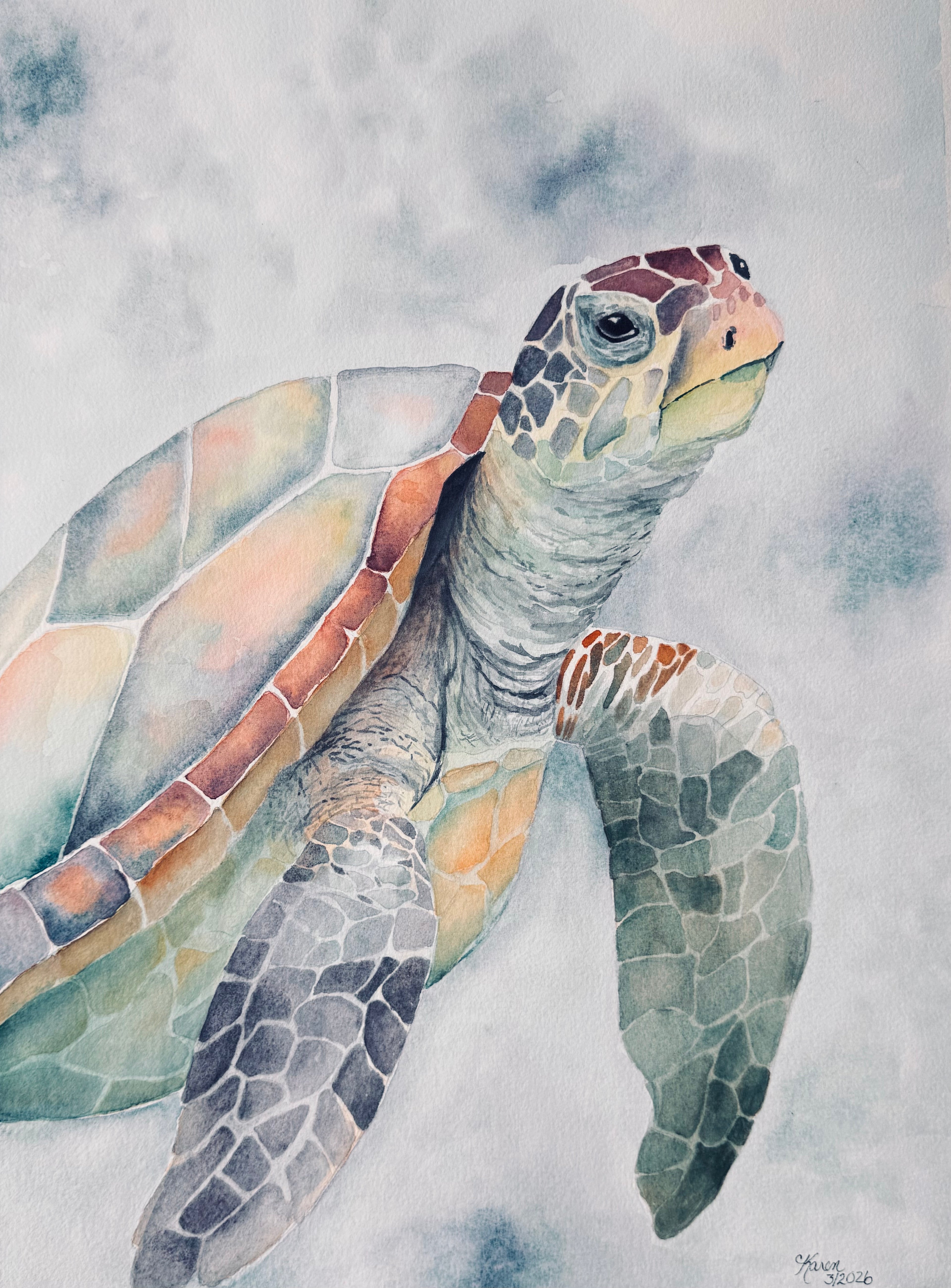Turtle Peace