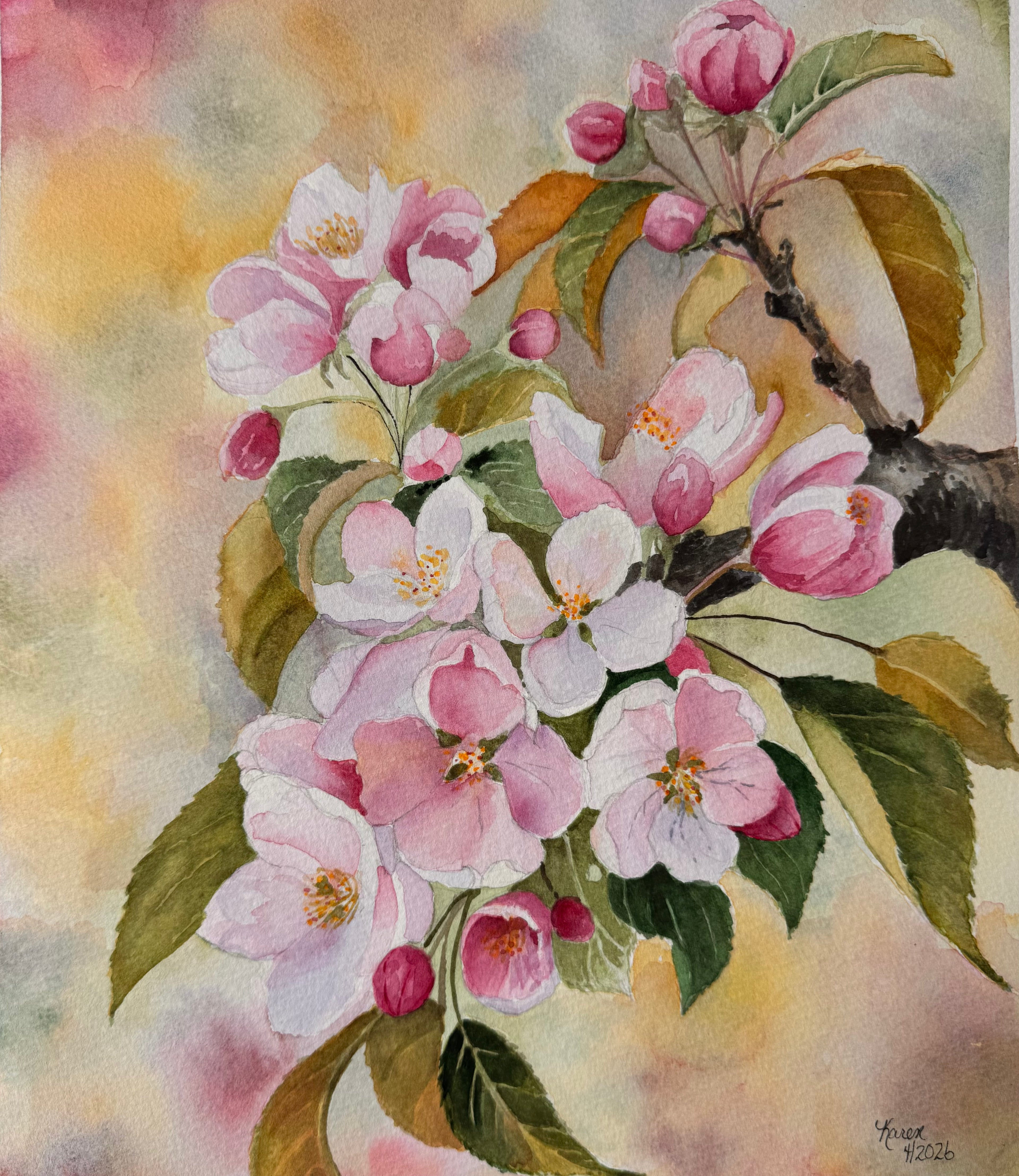 Spring Blooms