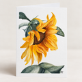 Notecards set of 4