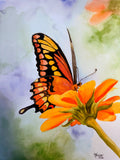Sunlit Wings